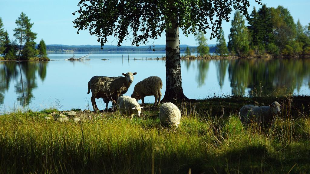 Lits Camping, Stugby Och Kanot Exterior foto